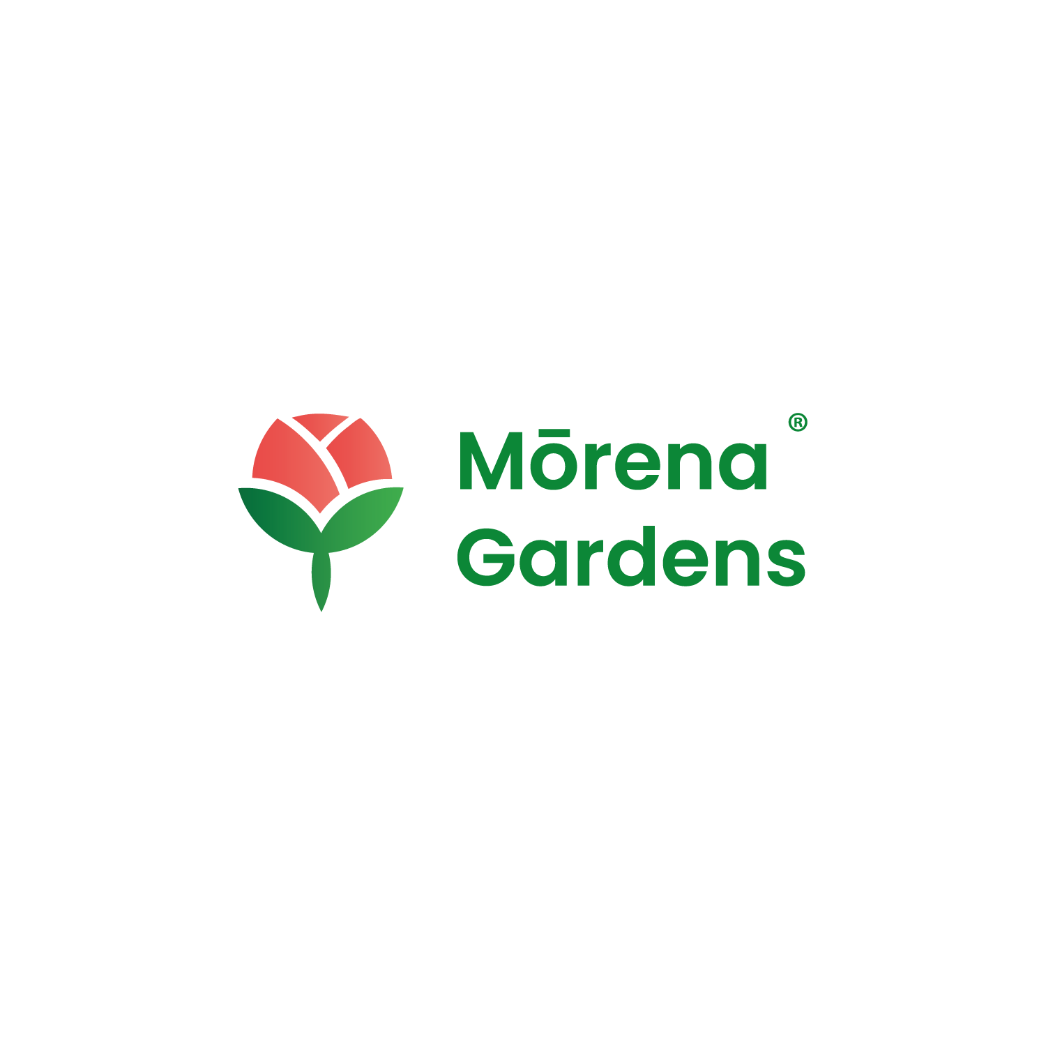 Morena Gardens