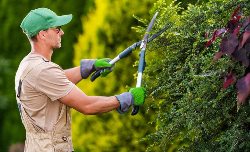 Gardeners