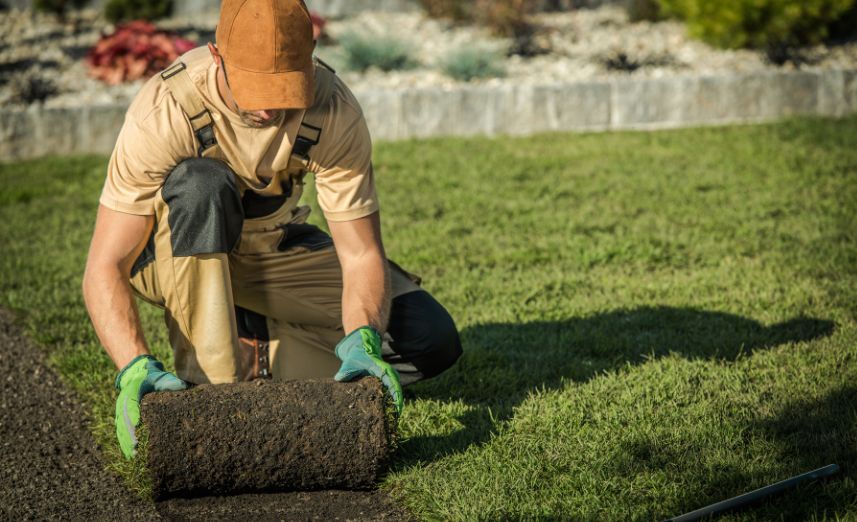 Landscapers