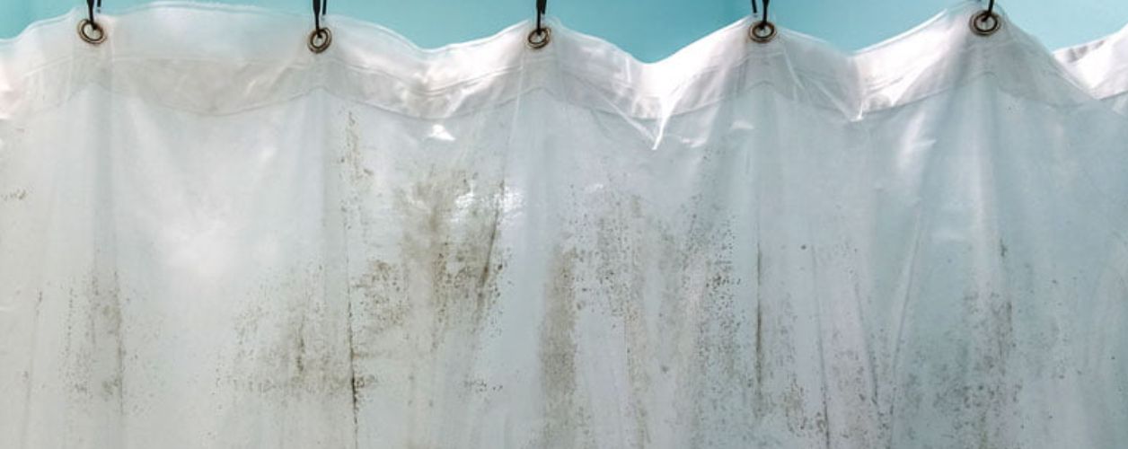 How to Remove Mould From Curtains Without Washing