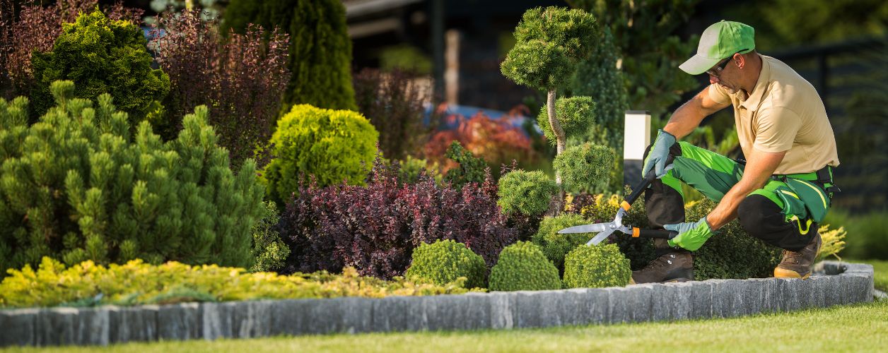How Much Does a Landscaper Cost in New Zealand