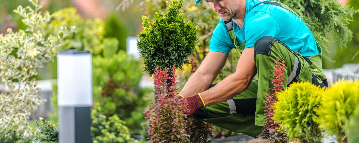 How Much Do Gardeners Cost