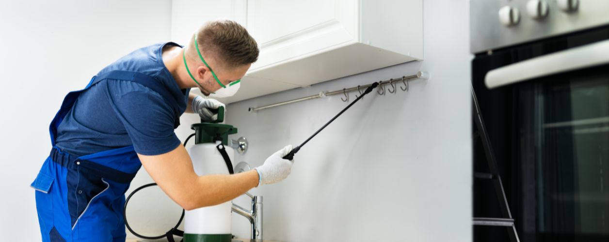 Natural vs Chemical Pest Control