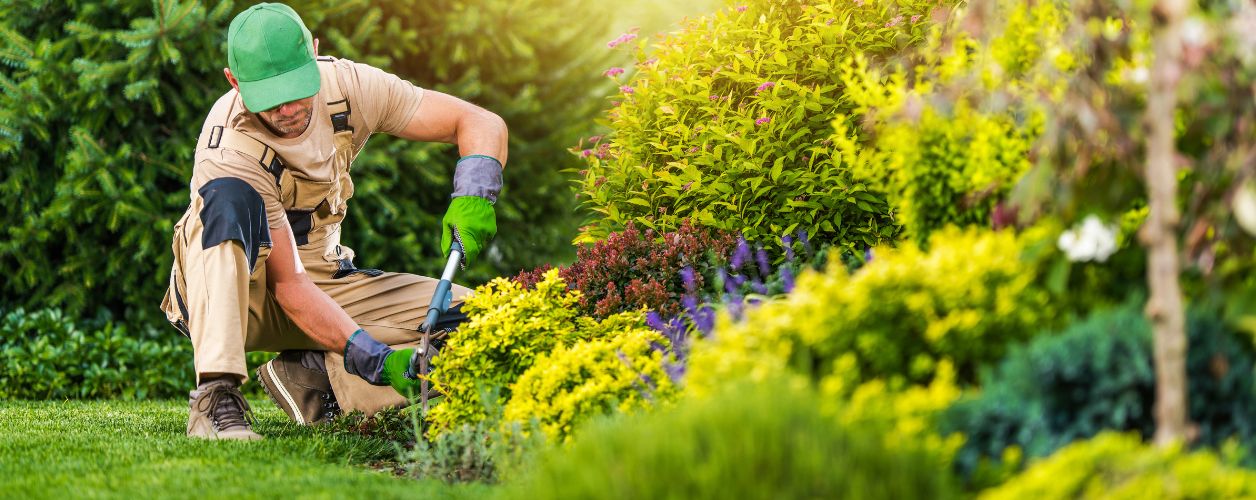 Low-Maintenance Gardening Ideas