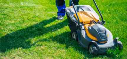 How to Easily Fix Brown Patches in Your Lawn?