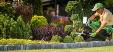 How Much Does a Landscaper Cost in New Zealand